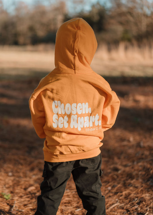 Youth - Chosen & Set Apart Hoodies; 1 Peter 2:9 in Black or Gold