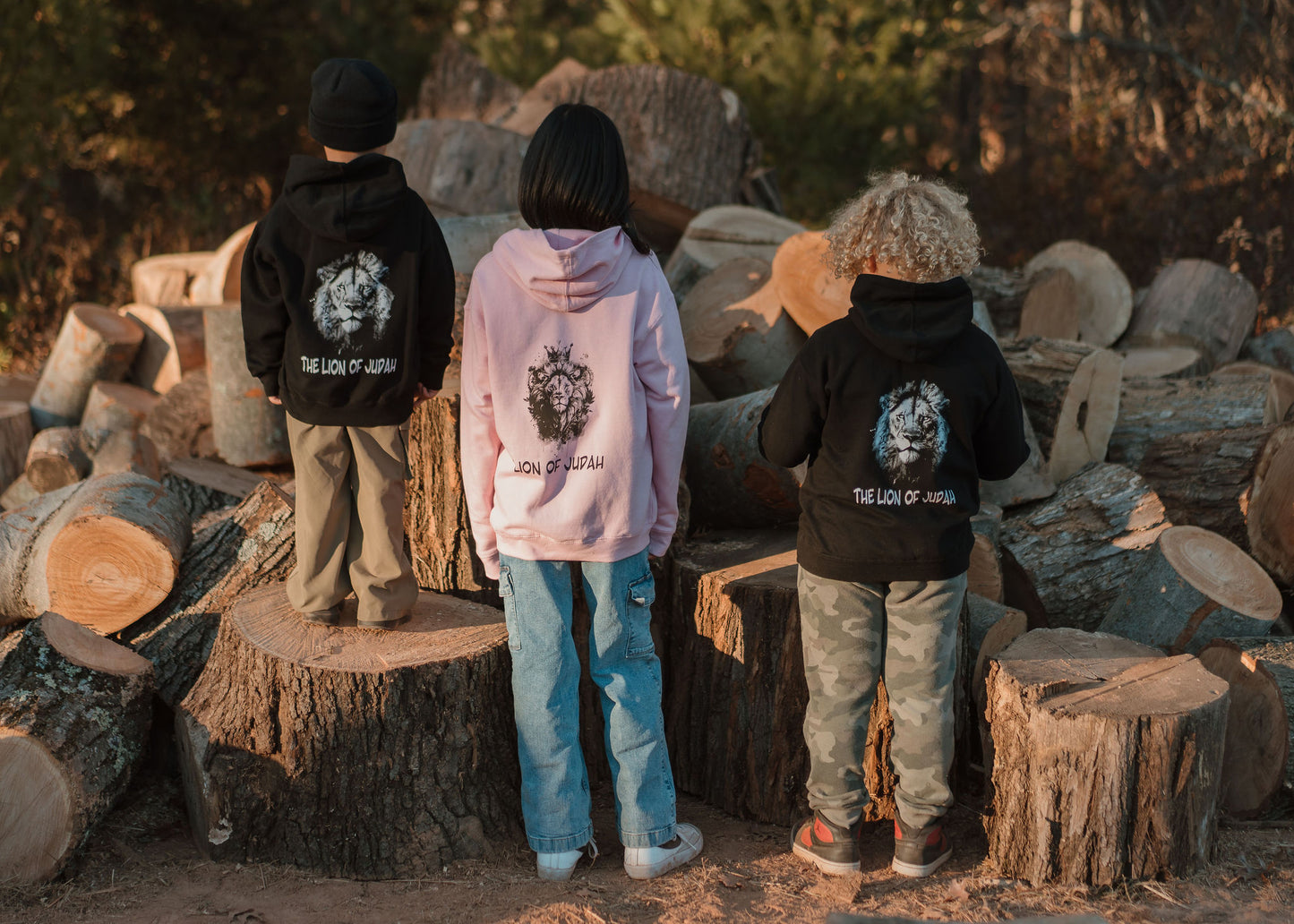 Lion of Judah Hoodie - Youth Sizes (Pink or Black)