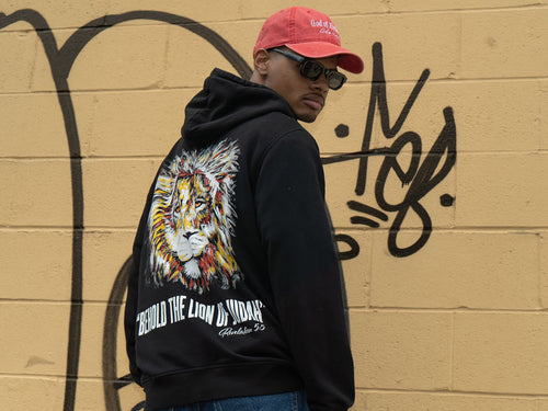 Behold The Lion of Judah Hoodie