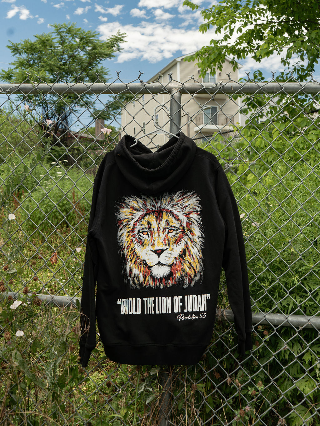 Behold The Lion of Judah Hoodie